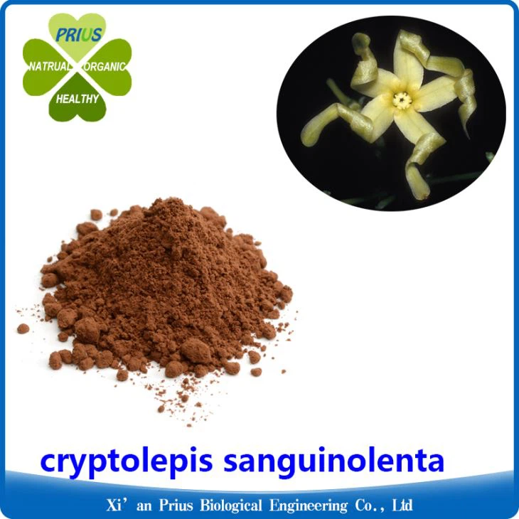 Cryptolepis Sanguinolenta Extract