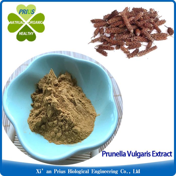 Prunella Vulgaris Extract Ratio Extract Traditional Herbal Medicine Common Selfheal Fruit-spike Extract.jpg