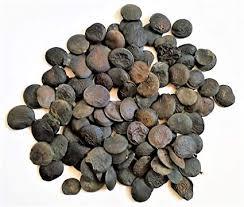 Griffonia Simplicifolia seeds