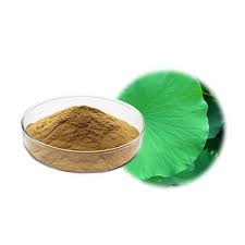 lotus leaf extract lotus leaf extract