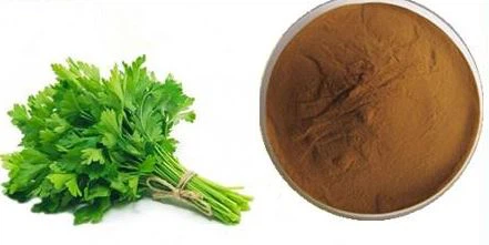 celery extract powder celery extract powder