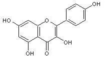 the structure of Rhizoma kaempferol