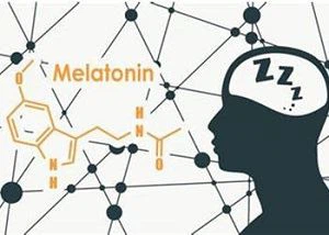 pure melatonin powder pure melatonin powder