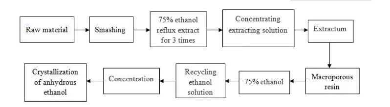 Extracting Process
