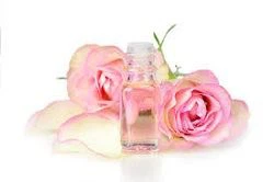 Rose Extract Rose Extract