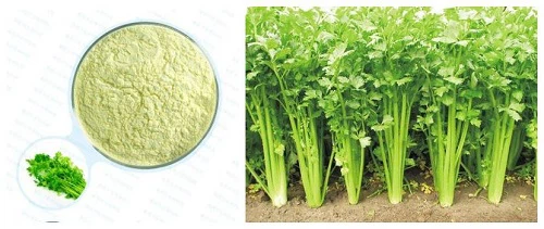 apigenin powder apigenin powder