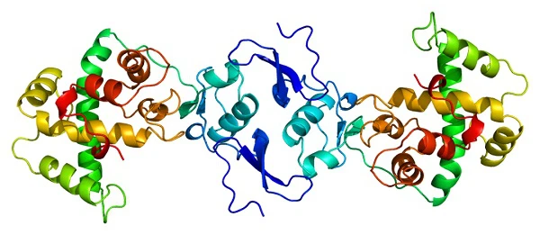 Secreted protein, Acidic and Rich in Cysteine