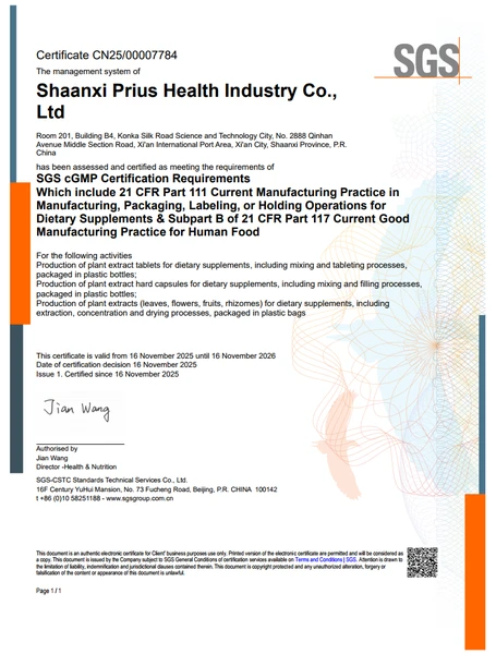 cGMP
