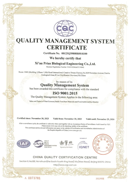 ISO9001