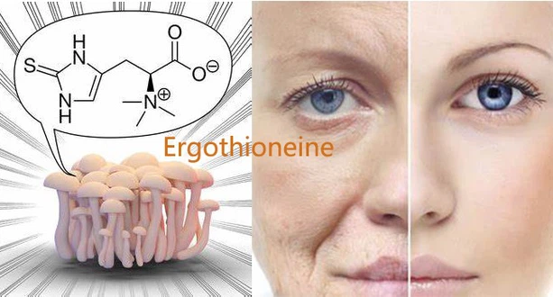 Ergothioneine powder Ergothioneine powder