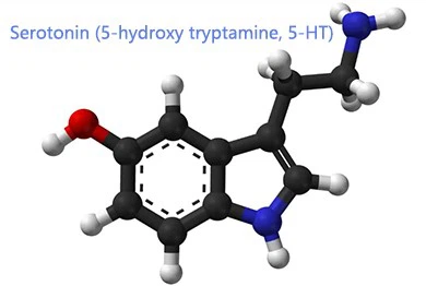 Serotonin Serotonin