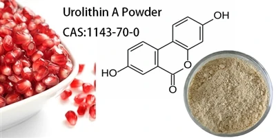 What is Urolithin A?