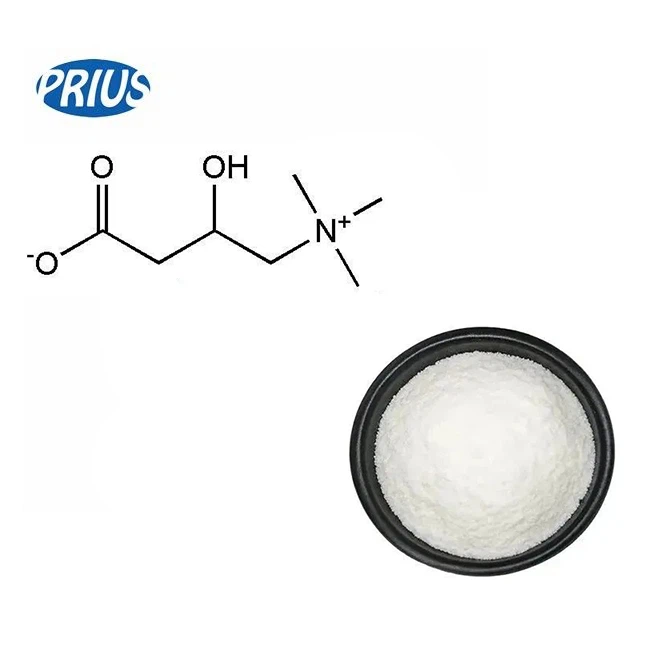 L Carnitine Powder