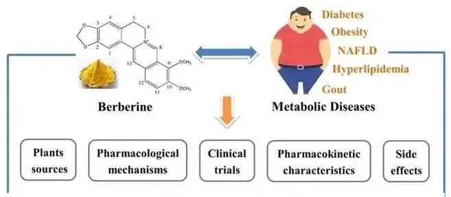 berberine hydrochloride berberine hydrochloride