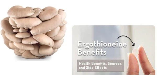 ergothioneine powder ergothioneine powder