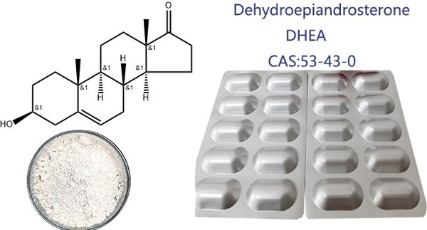 Dehydroepiandrosterone powder Dehydroepiandrosterone powder