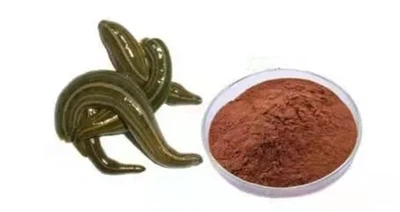 What Is Hirudin Used For?