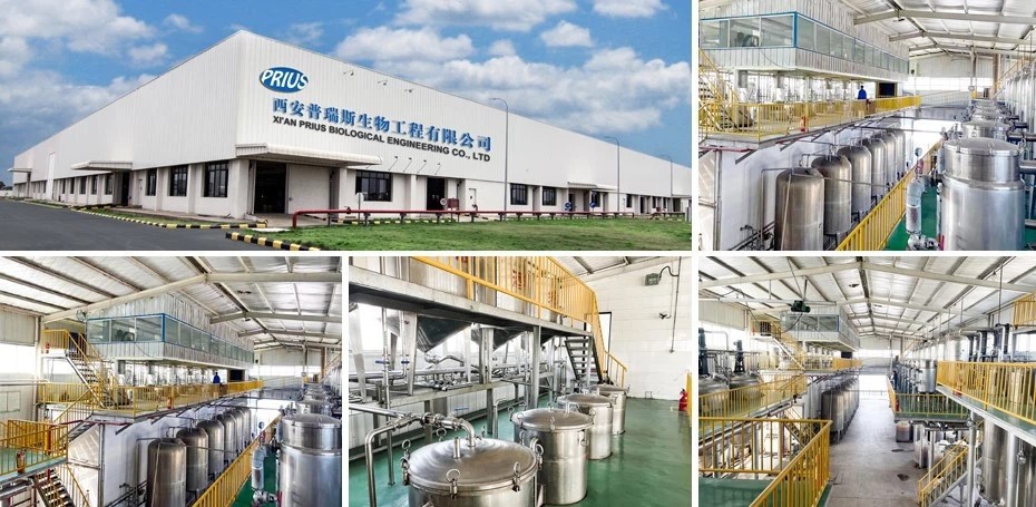 Adapalene powder factory Adapalene powder factory
