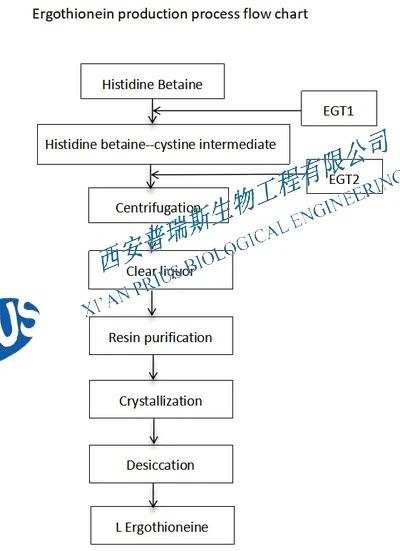 Ergothioneine Ergothioneine