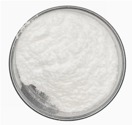 ALDEHYDE DEHYDROGENASE ALDEHYDE DEHYDROGENASE