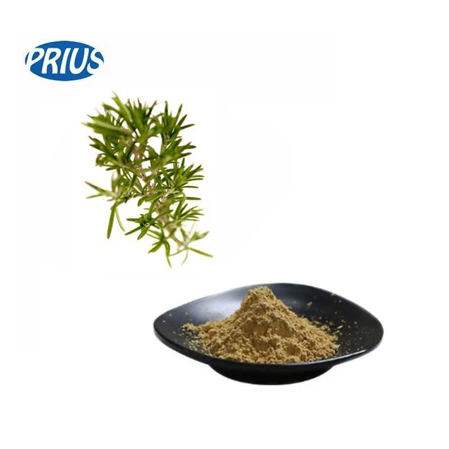 Rosmarinic Acid Powder