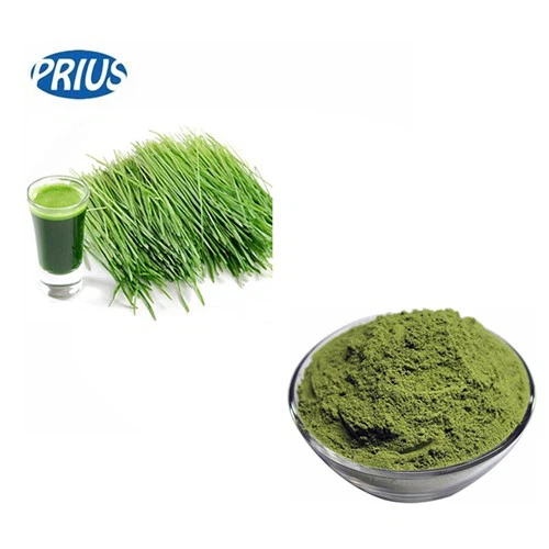 Barley Grass Powder