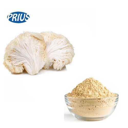 Lion's Mane Mushroom Powder