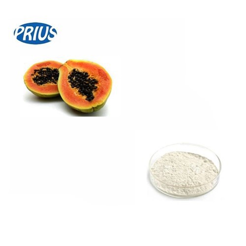 Papaya Extract Papain