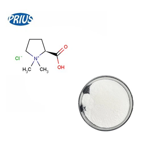 Stachydrine Hydrochloride