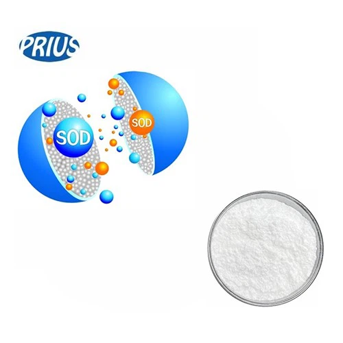 Superoxide Dismutase Supplier