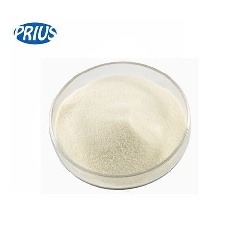 Undenatured Type 2 Collagen