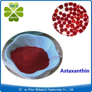 Astaxanthin Haematococcus PlUVialis Extract