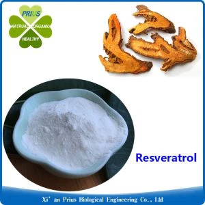 Polygonum Cuspidatum Extract