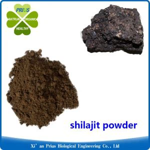 Shilajit Powder