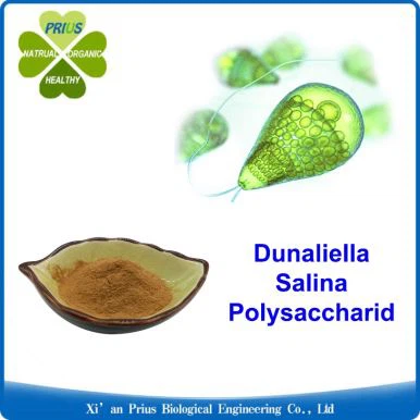 Dunaliella Salina Polysaccharid