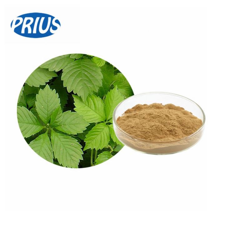 Gynostemma Pentaphyllum Leaf Extract