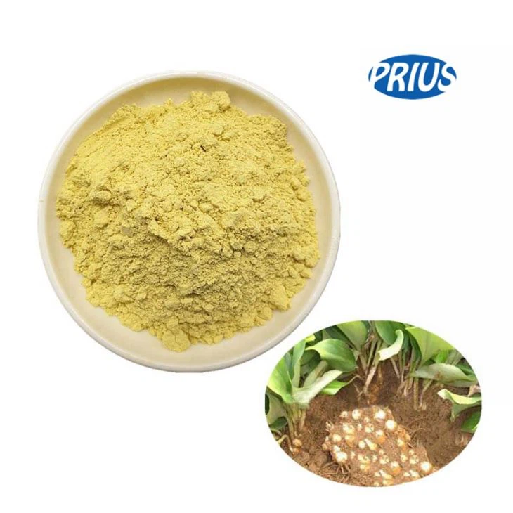 Rhizoma kaempferol powder