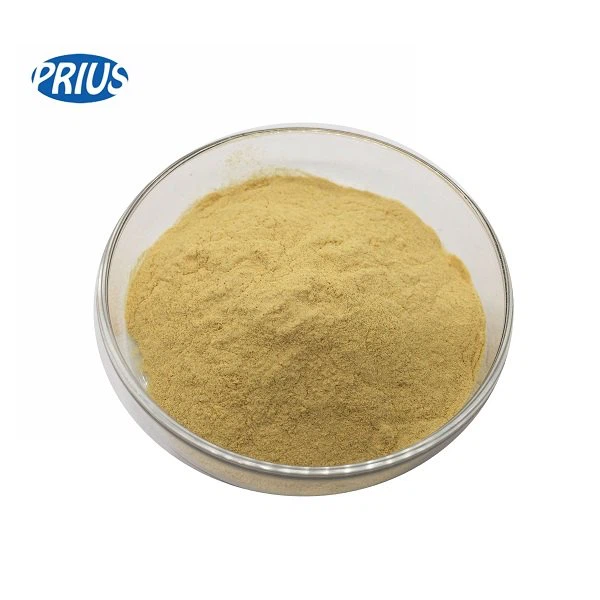 Panax Notoginseng Saponins Powder