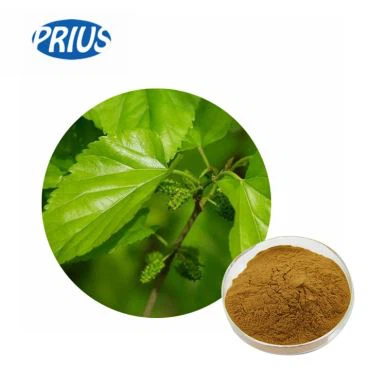 High Quality Banaba Leaf Extract - Corosolic Aicd 1%-98%