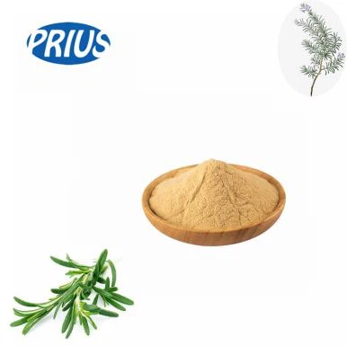 Natural Melissa Officinalis Extract Powder, Lemon Balm Extract, Flavones/ Rosmarinic Acid ...