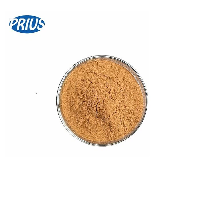 Fucoxanthin Powder