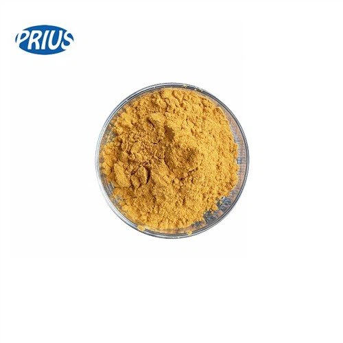Sea Buckthorn Berry Powder