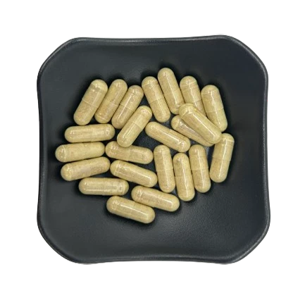 Sea Buckthorn Extract Powder